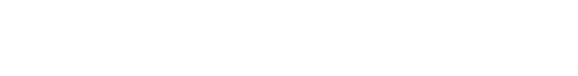 Sahel Consulting Logo (Modified version) - white